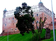 min 505 6.jpg min 505 6.jpg